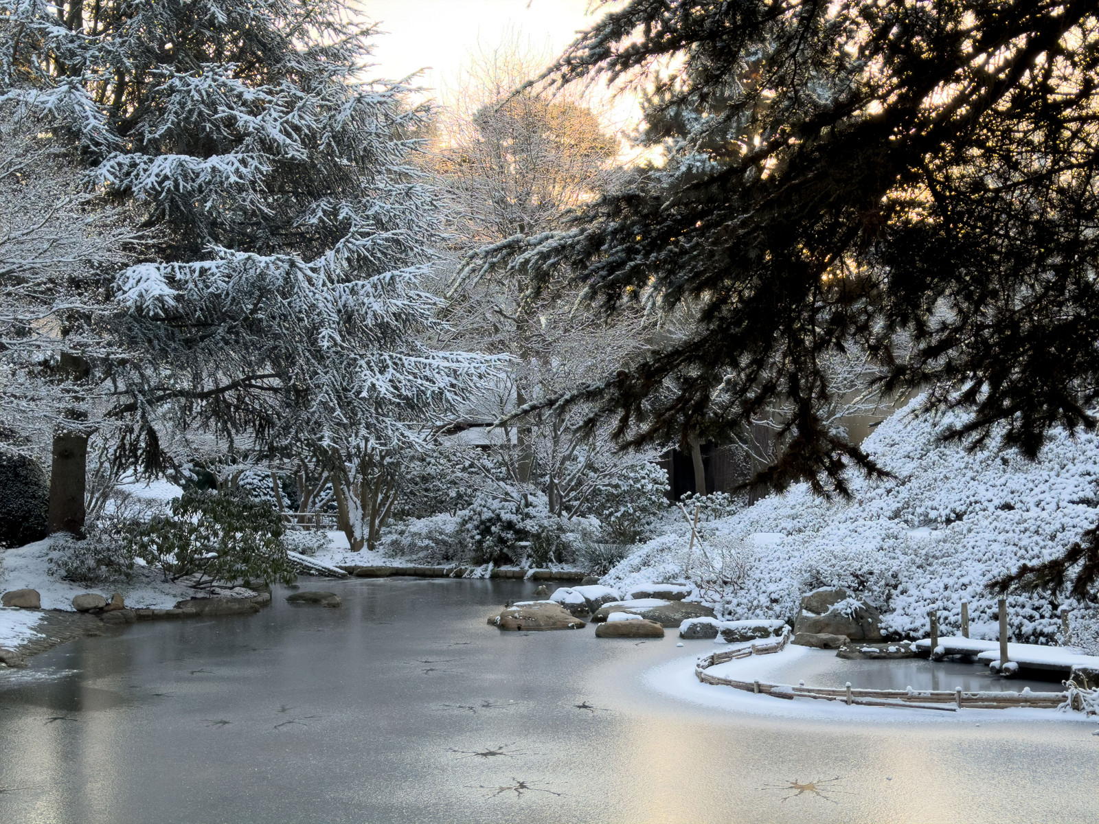 Le bassin du jardin japonais Le_bassin_du_Jardin_japonais_contemporain_01.jpg