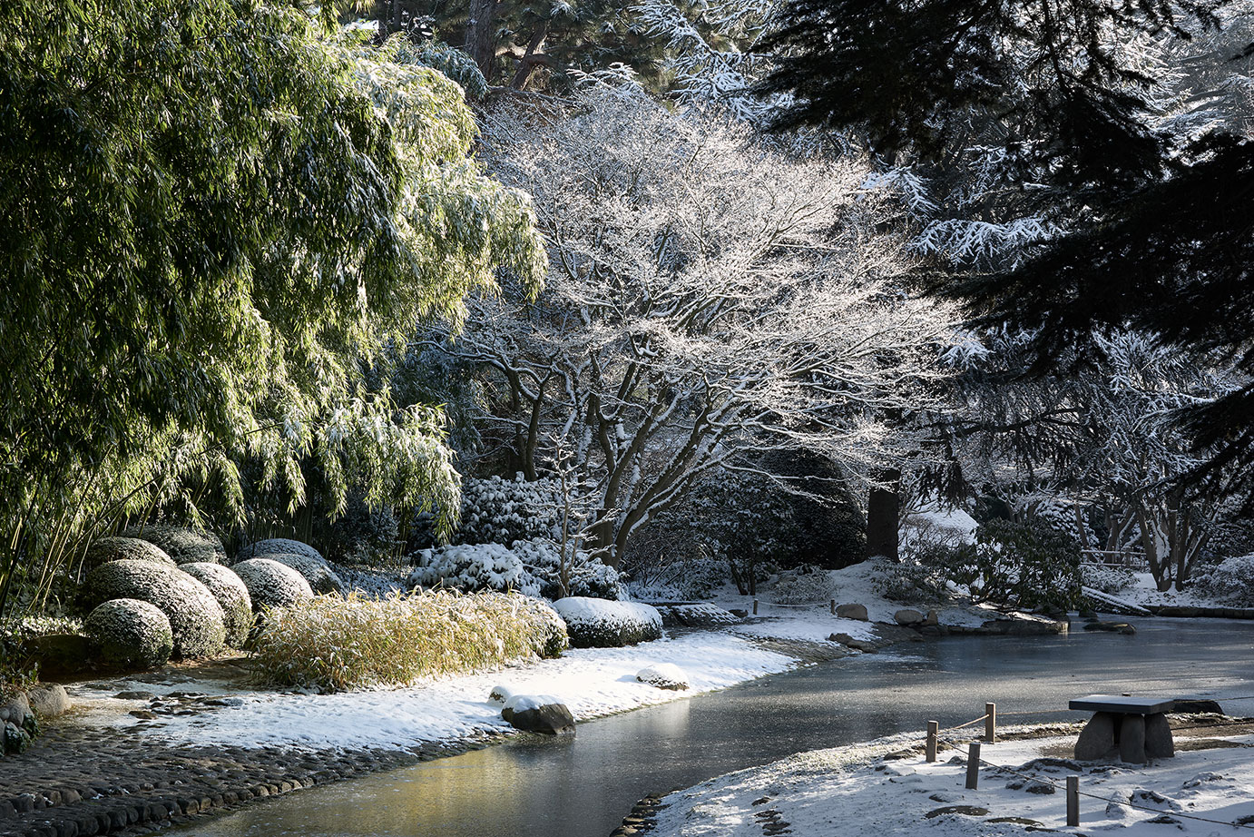 Le bassin du jardin japonais Le_bassin_du_jardin_japonais_contemporain.jpg
